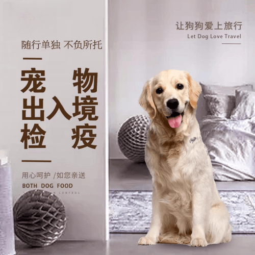 保亭县宠物托运到哥伦比亚猫狗宠物入境规定和