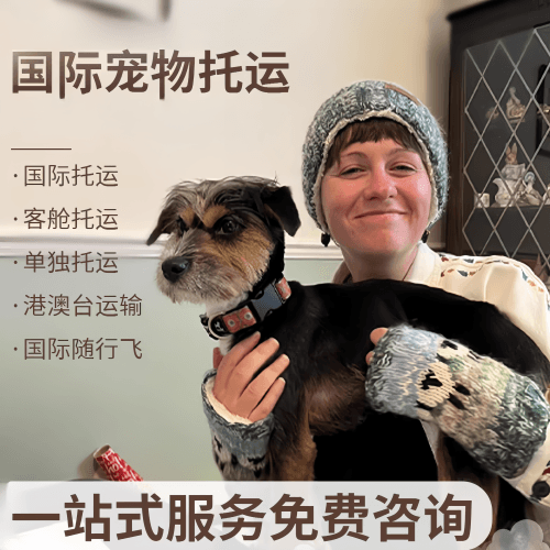 保亭县国际宠物托运到阿根廷宠物入境规定和要