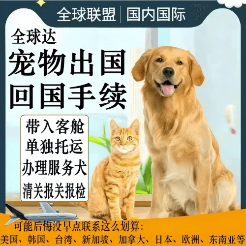 保亭县宠物托运到柬埔寨宠物入境规定和要求
