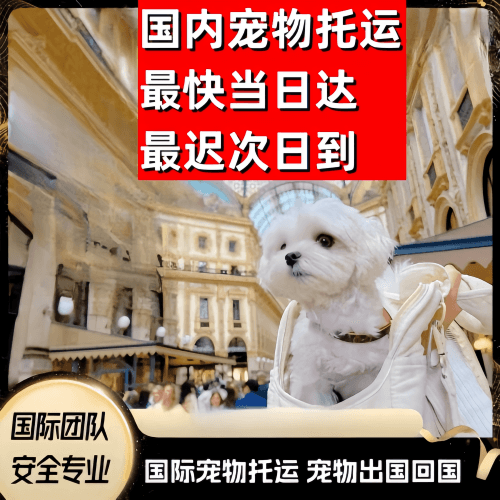 保亭县到澳大利亚（澳洲）宠物入境规定和要求