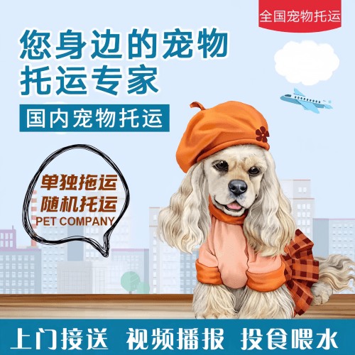 满财保亭县宠物全球达宠物托运作为专业的宠物运输代理机构
